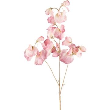 Ramo decorativo Lathyrus latifolius SLIRKEN, rosa chiaro, 75 cm