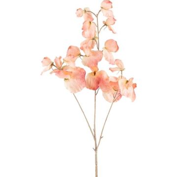 Ramo decorativo Lathyrus latifolius SLIRKEN, albicocca, 75 cm