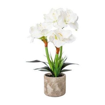 Composizione floreale artificiale Amaryllis OWELRA con erba, vaso in cemento, bianco, 55 cm