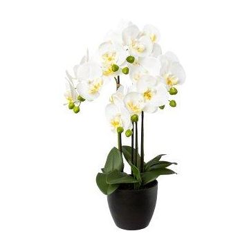 Orchidea Phalaenopsis artificiale UKERNA in vaso di resina, bianca, 55 cm
