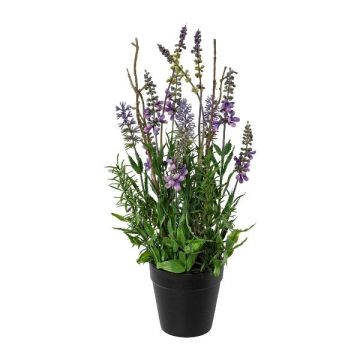 Composizione floreale artificiale lavanda ZELAV con salvia, vaso decorativo, viola, 35 cm