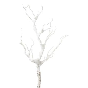 Ramo artificiale betulla BLUNTE, innevato, bianco, 65 cm