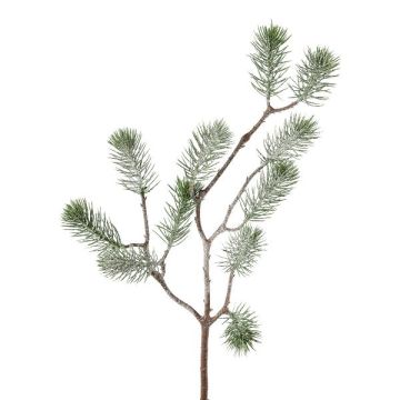 Ramo decorativo abete LUMVOR, ghiacciato, bianco, 55 cm