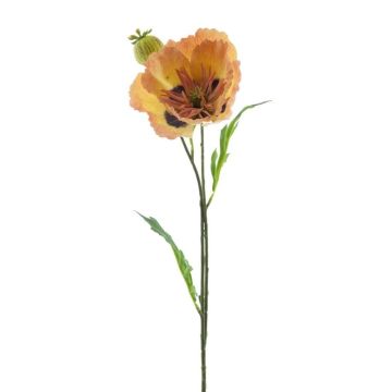 Papavero decorativo EDESSA, pesca-arancione, 80 cm