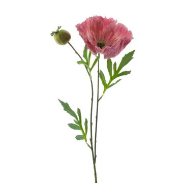 Papavero decorativo EDESSA, rosa, 80 cm