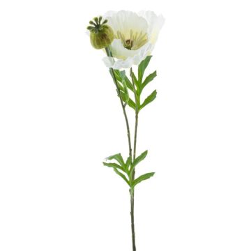 Papavero decorativo EDESSA, bianco, 80 cm