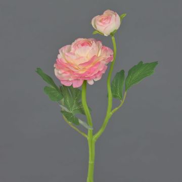 Ranuncolo decorativo LIOFA, rosa-crema, 35 cm