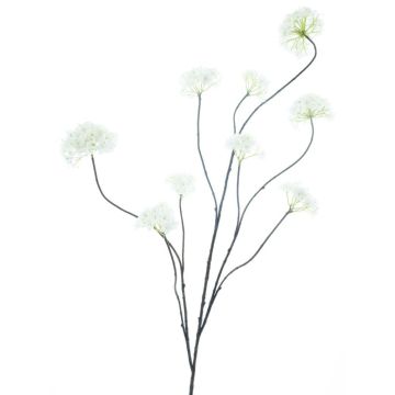 Ramo decorativo palla di neve GRIGO, crema, 125 cm