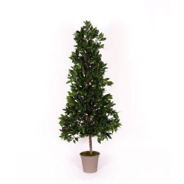 Piramide decorativa di lauroceraso KUSJENKA, tronco naturale, frutti, 90 cm - Made in Italy