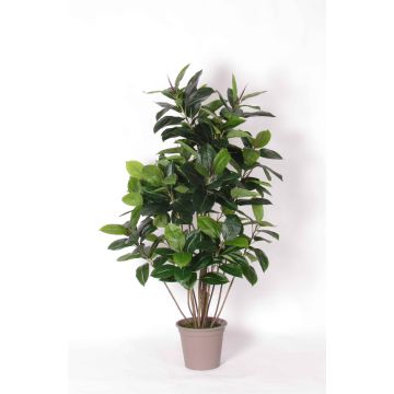 Albero della gomma artificiale LAURINTU, tronchi naturali, verde, 150 cm - Made in Italy