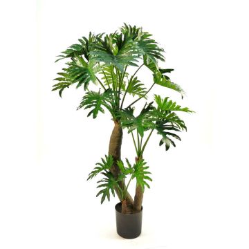 Pianta artificiale filodendro Selloum DONIS, tronchi artificiali, 180 cm