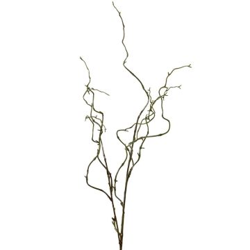 Ramo di salice piangente artificiale EMENDA, verde-marrone, 75 cm