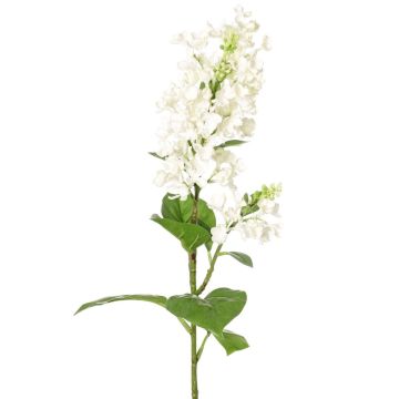 Fiore artificiale di lillà ADMIR, bianco, 80 cm