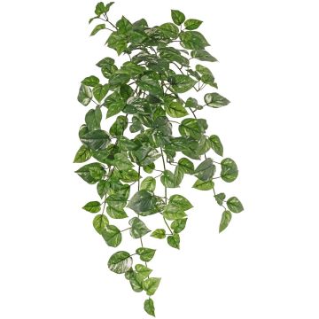 Edera artificiale POTTEN, bastoncino, verde-bianco, 80 cm
