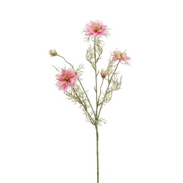 Ramo decorativo di cumino nero JENNIE, rosa, 70 cm