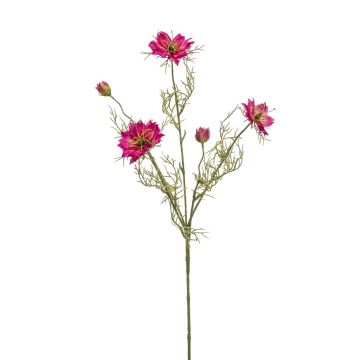 Ramo decorativo di cumino nero JENNIE, rosa shocking, 70 cm
