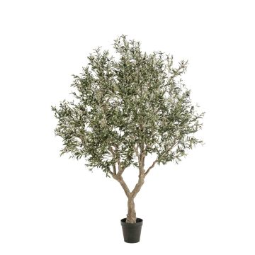 Olivo artificiale ZALIKI, tronco artificiale, frutti, verde, 250 cm