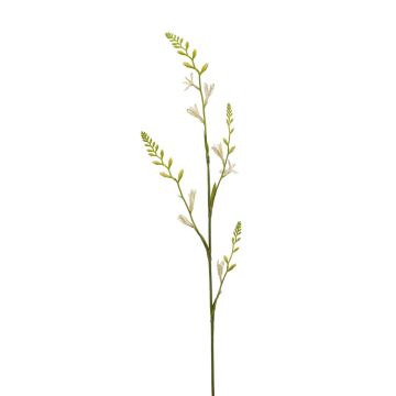 Fiore artificiale Montbretia KATHERYN, crema, 90 cm