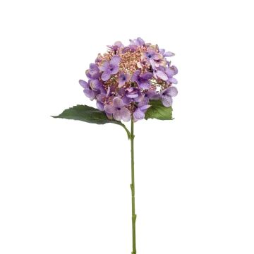 Fiore artificiale ortensia CALESA, lilla, 50 cm