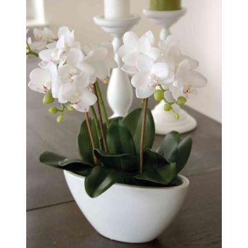 Orchidea phalaenopsis artificiale JASMIN in ciotola di ceramica, bianco, 40cm