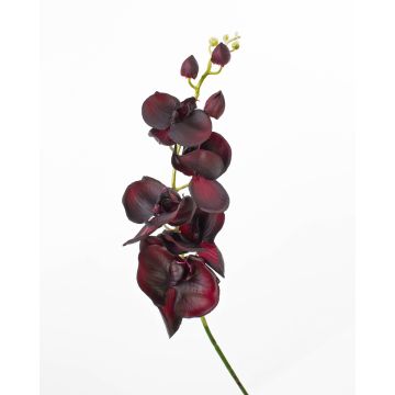 Orchidea Phalaenopsis sintetica DAJANA, bordeaux, 90cm, Ø6-11cm