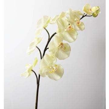 Orchidea Phalaenopsis sintetica FIDELIA, crema, 110cm, Ø7-12cm