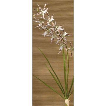 Orchidea odontoglossum artificiale ZOFIA, su stelo, crema-marrone, 105cm