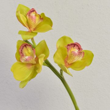 Ramo artificiale di orchidea cymbidium SERAPHINA, verde-rosa, 45cm