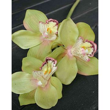 Ramo artificiale di orchidea cymbidium SERAPHINA, verde-rosa, 45cm