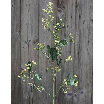 Brassica rapa artificiale CATHLEEN, giallo, 75cm, Ø0,5cm