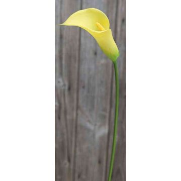 Calla artificiale EILEEN, giallo, 65cm