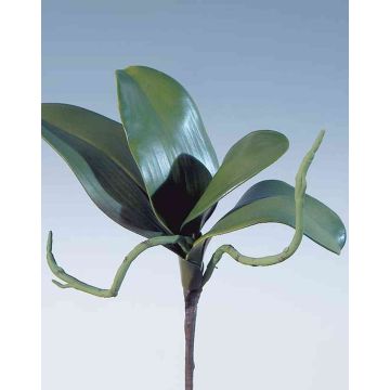 Foglie artificiali di orchidea Phalaenopsis DORTE, radici aeree, 22x28cm