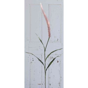 Pennisetum finto LEBRERO con pannocchie, rosa, 175cm