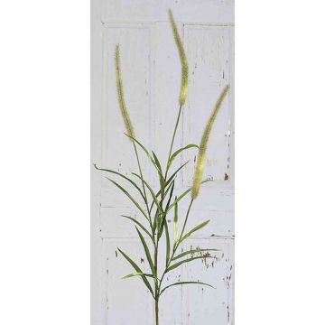 Ramo di pennisetum artificiale RONDA, pannocchie, crema-verde, 180cm