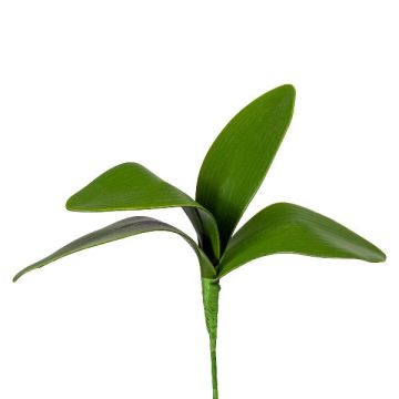Foglie artificiali orchidea Phalaenopsis TRIVLEN, bastoncino, 20 cm