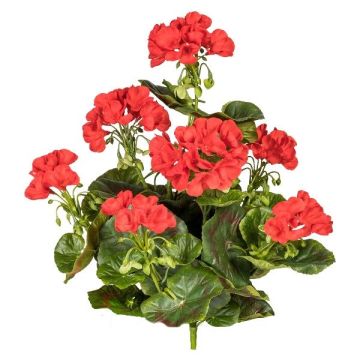 Fiore decorativo geranio DOLKREN, bastoncino, crossdoor, rosso, 40 cm