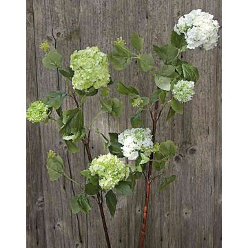 Viburnum artificiale DJAMILA, bianco-verde, 75cm