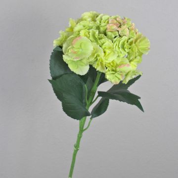 Ortensia sintetica ANGELINA, crema-verde, 70cm, Ø23cm