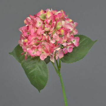 Ortensia finta HERMINE, rosa-fucsia, 65cm