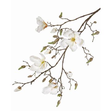 Ramo di magnolia artificiale LORA, crema, 110cm, Ø10-12cm