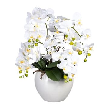 Composizione floreale artificiale orchidea Phalaenopsis WEMBER con salice contorto, vaso in ceramica, radici, bianco, 55 cm