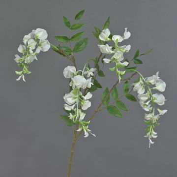 Ramo artificiale di wisteria SOULA con fiori, bianco, 80cm