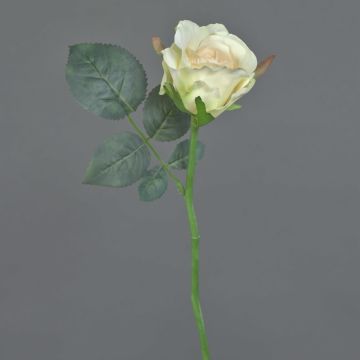 Rosa finta ELLI, crema-rosa, 30cm, Ø6cm