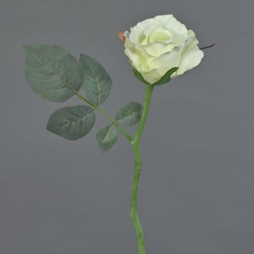 Rosa finta ELLI, crema-bianco, 30cm, Ø6cm