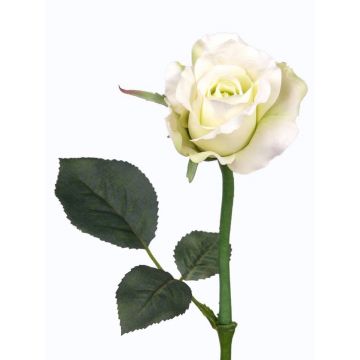 Rosa finta ELLI, crema-bianco, 30cm, Ø6cm