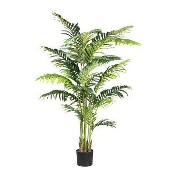 Palma artificiale Kentia TIBERI, 160 cm