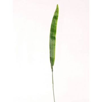 Foglia di gladiolo artificiale JUNO, verde, 40cm