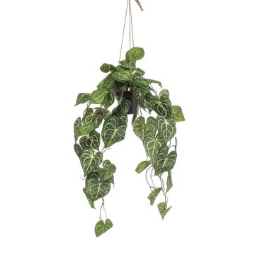 Pianta artificiale anthurium in sospensione MORGANE, vaso decorativo, verde, 80 cm