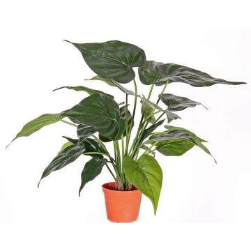 Alocasia cucullato artificiale AROA, verde, 50cm