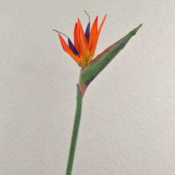 Strelitzia artificiale MELIORN, arancione-viola, 85 cm